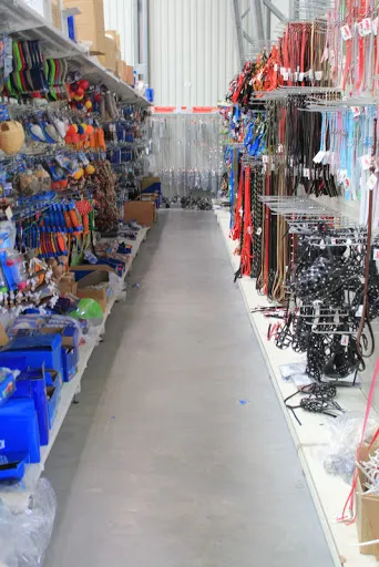 Rokus. Jędrzejczak P.